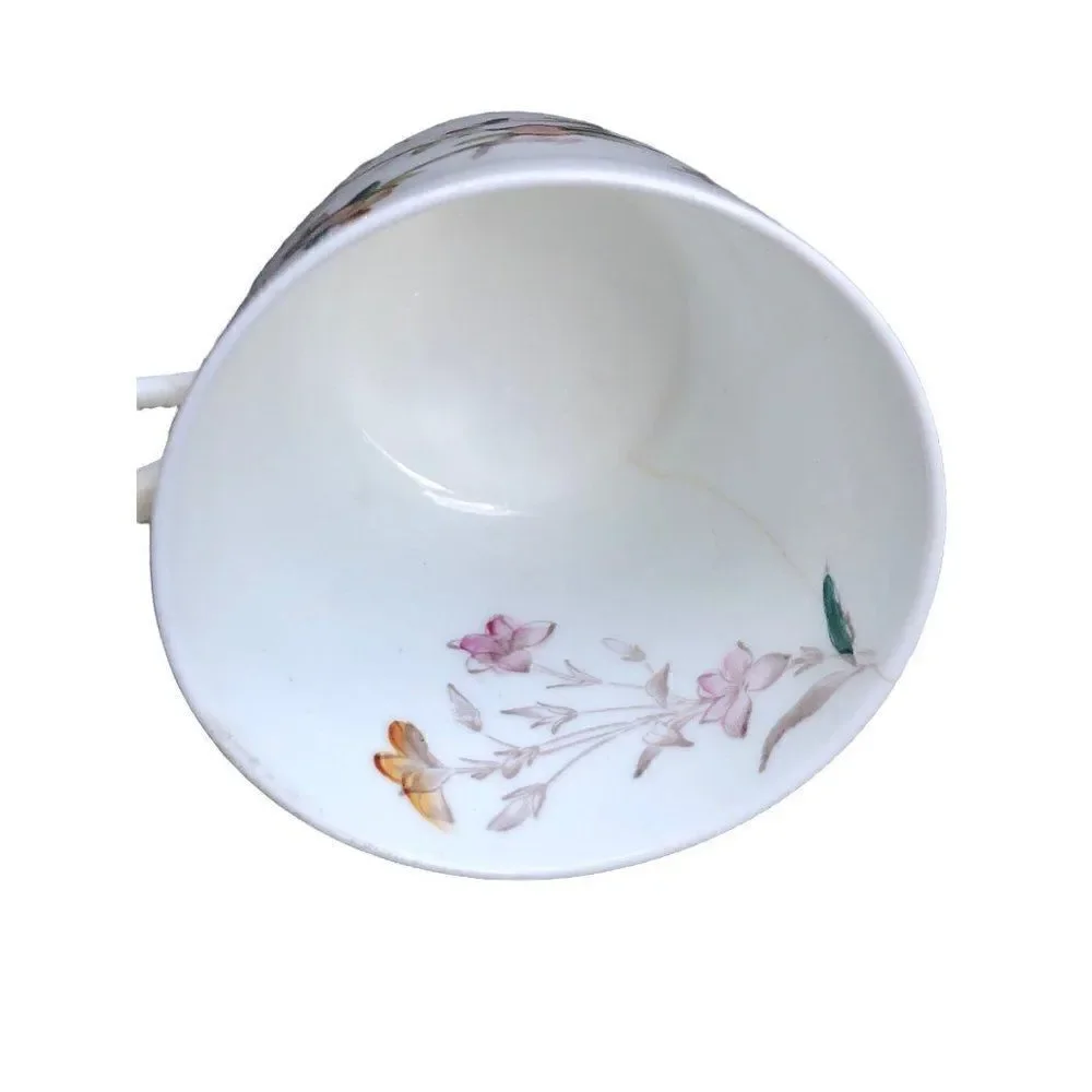 Antique W.A.A. William A Adderley bone China cup and saucer  THORN Birds